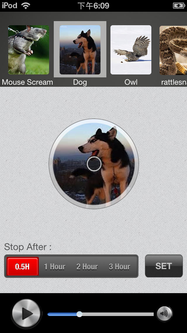 【驱鼠音频大全】驱鼠音频大全下载_IOS(ipho